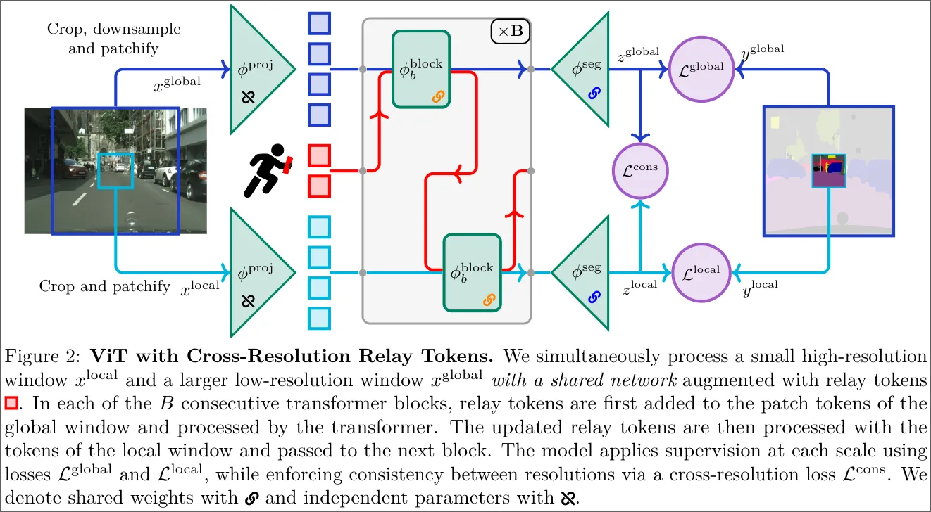 Figure 2: ViT with Cross-Resolution Relay Tokens
