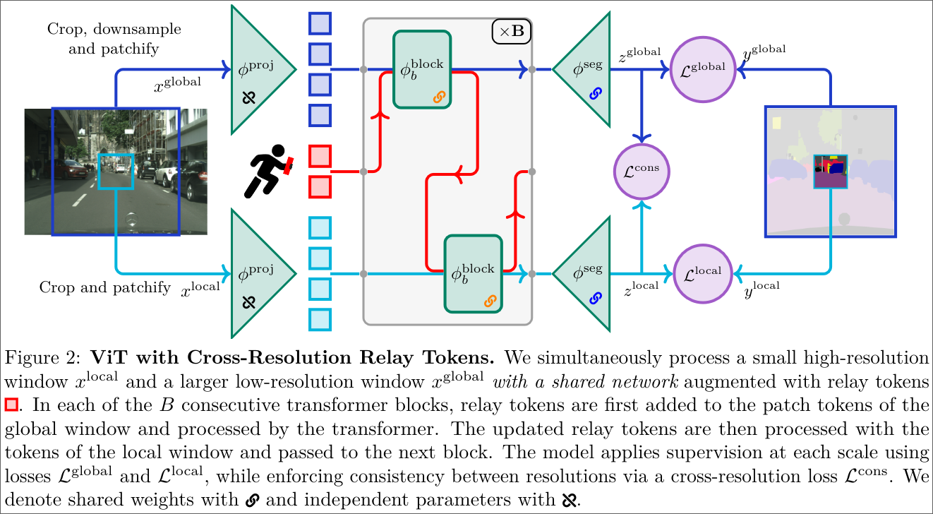 Figure 2: ViT with Cross-Resolution Relay Tokens